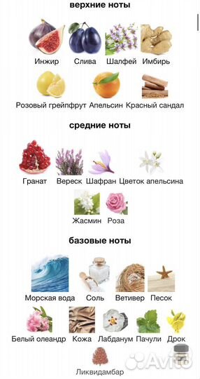 Tiziana terenzi arethuza