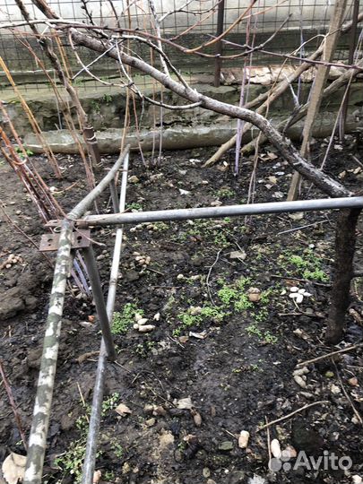 Каркас теплицы бу