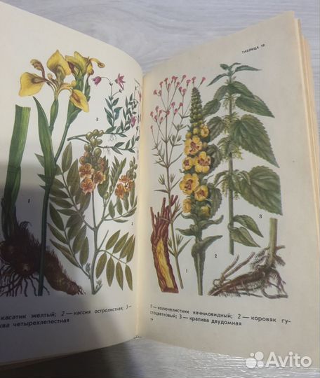 Справочник Лекарственные растения 1989 год