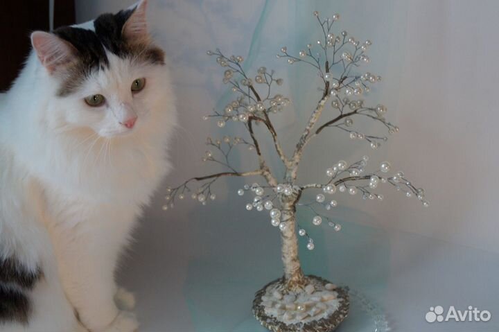 Жемчужное дерево. Сакура. Подарки из бисера