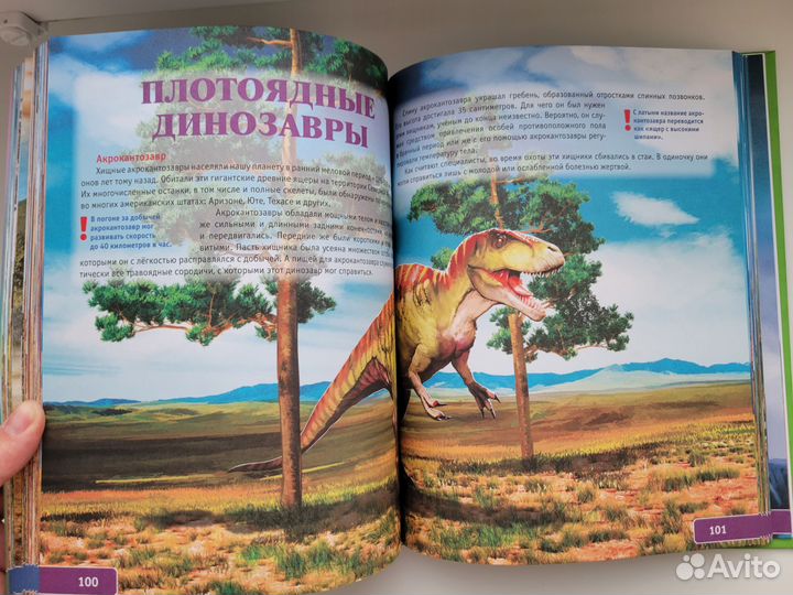 Детская книга про динозавров новая