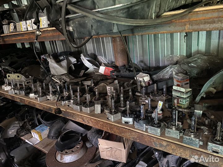 Volkswagen Touareg ксеноновая лампа D1S