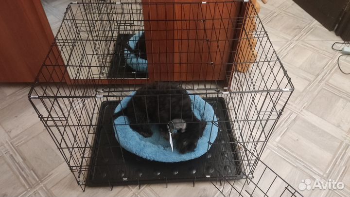 Клетка для животных, для средних и мелких пород