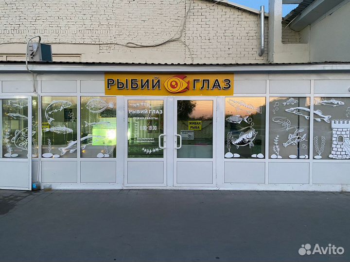 Рыбный магазин