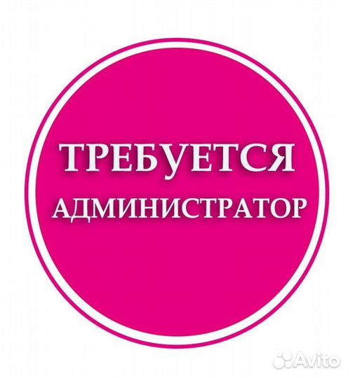 Администратор в студию праздников