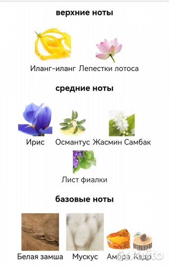 Agent provocateur maitresse