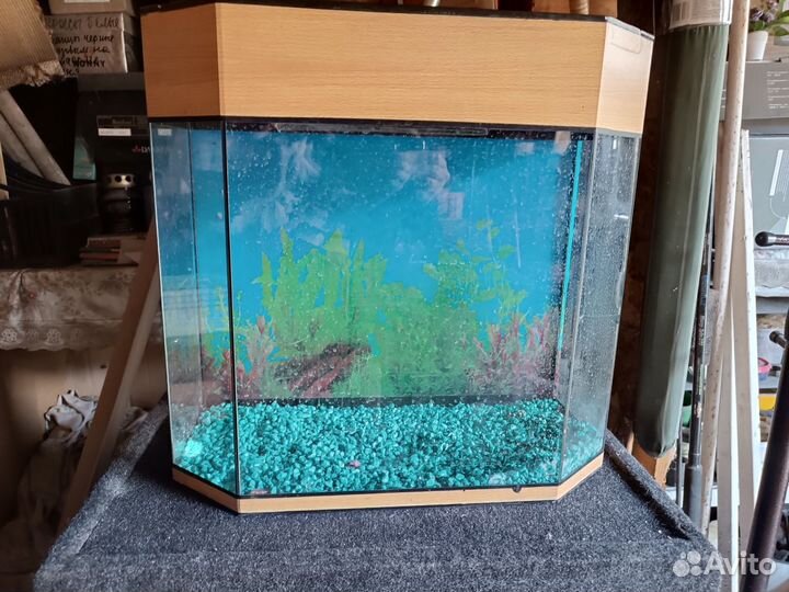 Аквариум