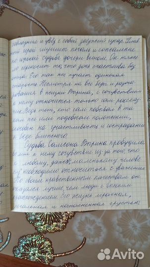 Образование