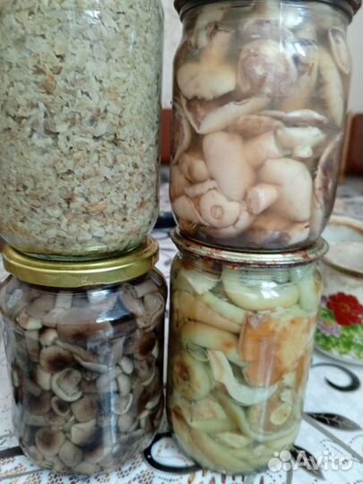 Грибы маринованные