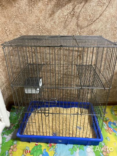 Клетки для грызунов и крыса(малыш)