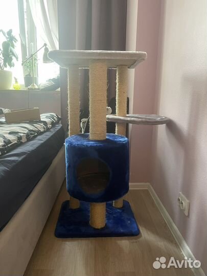 Домик для кошки новый