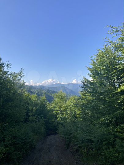 Участок 9,5 сот. (СНТ, ДНП)