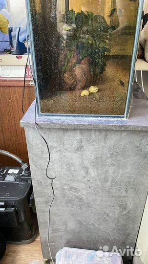 Аквариум