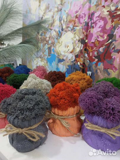 Гипсовый мешочек со стабилизированным мхом