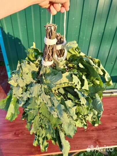 Дубовые веники для бани (+берёза)