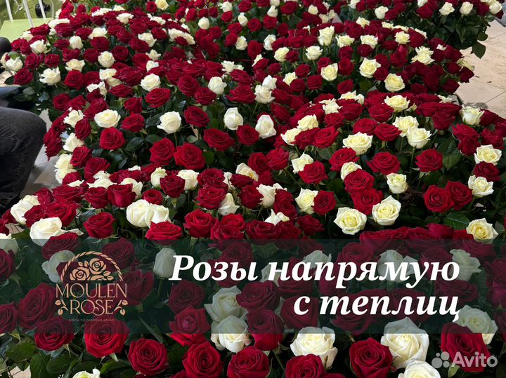 Цветы розы с доставкой