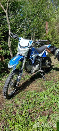 Питбайк Irbis ttr125