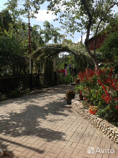 Отдых в Абхазии