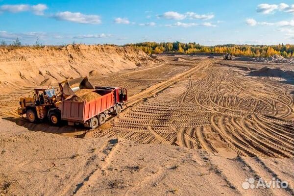 Песок тараканом