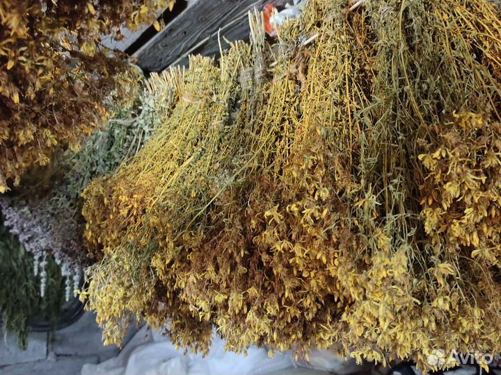 Пучки трав для бани
