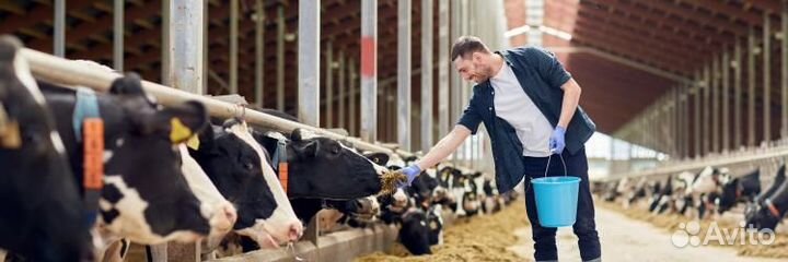 Скотник/животновод вахта с проживанием