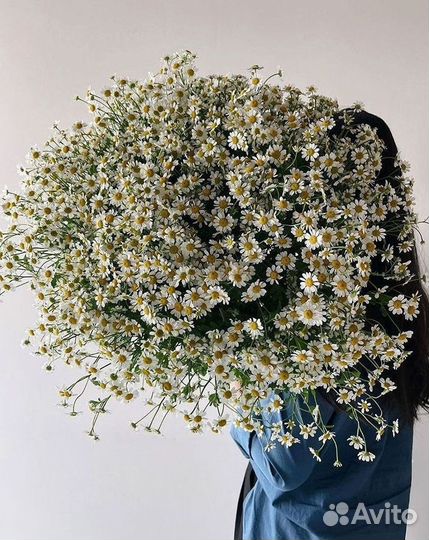 Ромашки Букет из ромашек доставка