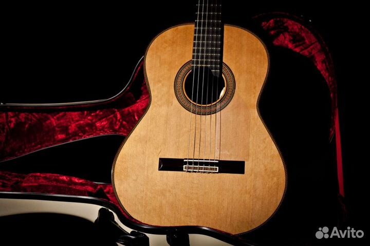 Акустическая гитара Alcora 205