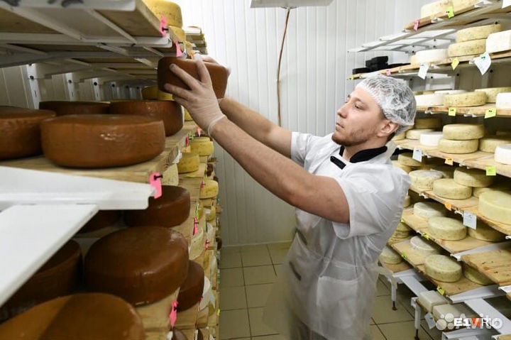 Технолог - сыровар обучу, проконсультирую