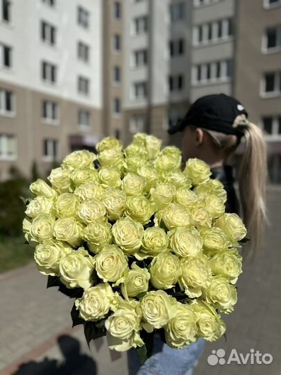 25 роз эквадор 80 см