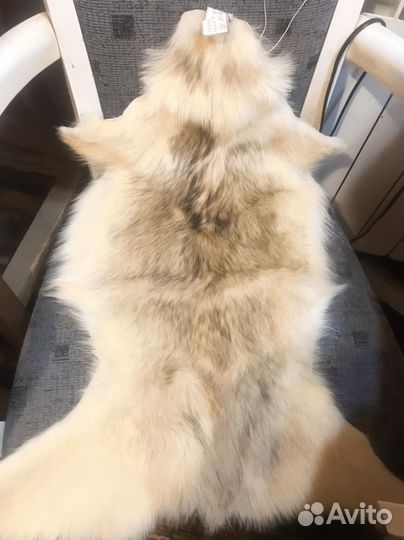 Шкура волка натуральная