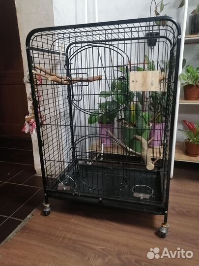 Клетка для попугая
