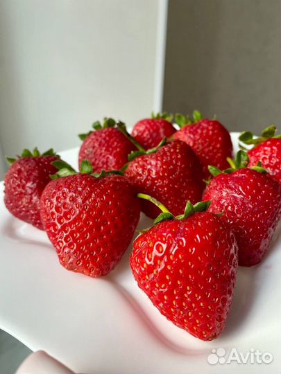 Клубника в бельгийском шоколаде