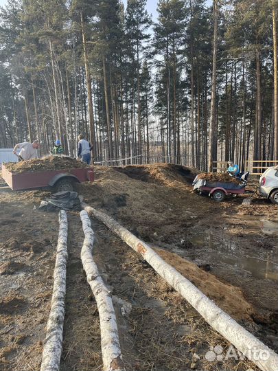 Продам конский навоз (самовывоз)