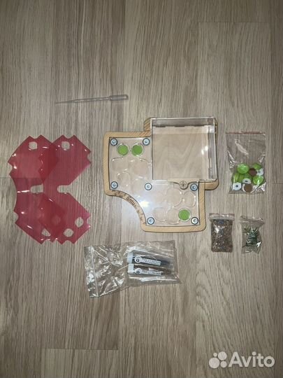 Муравьиная ферма