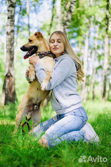 Собака из приюта Некрасовка