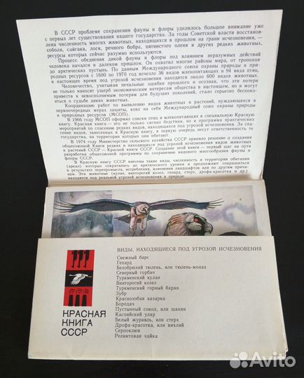 Набор открыток Красная книга СССР