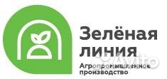 Рабочий в теплицу/Разнорабочий/ без опыта