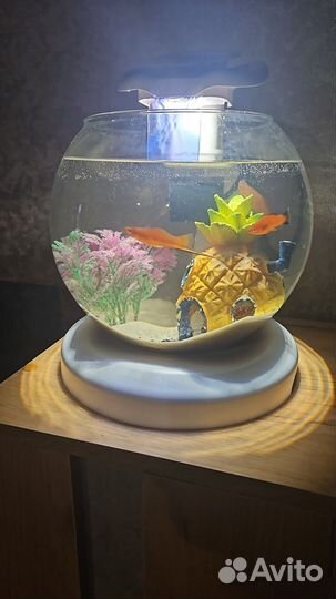 Аквариум круглый