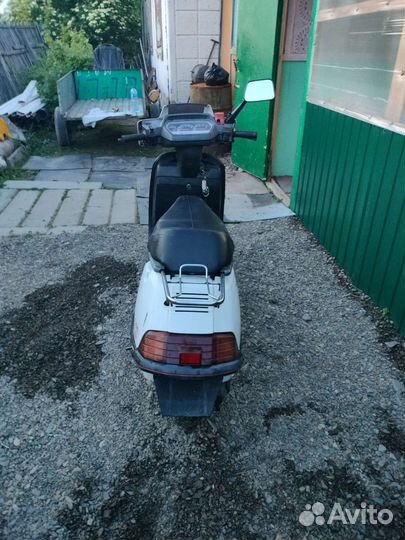 Honda lead SS