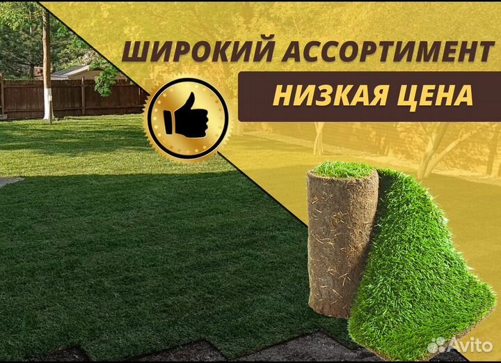 Рулонный газон доставка спортивный