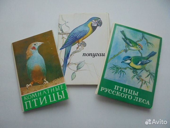 Попугаи+Комнатные птицы+Птицы русск леса Наб откры