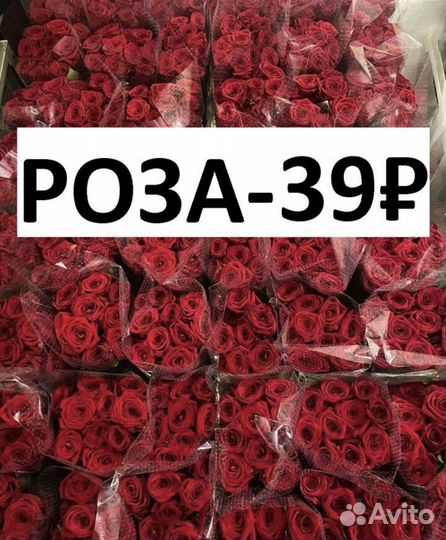 Букет 101 роза доставка роз