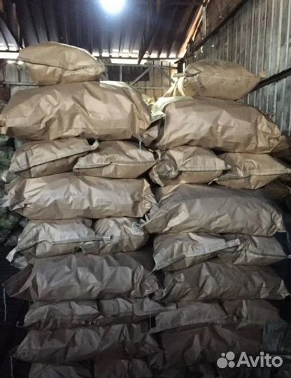 Уголь древесный березовый