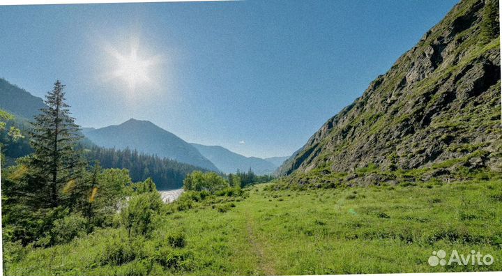 Турпутевка на Алтай летом экскурсия 4-7 дней