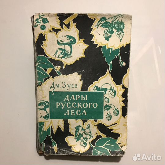 Дары русского леса