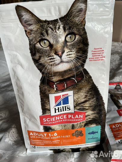 Корм для кошек hills science plan