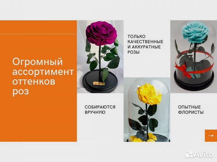 Роза в колбе. С гарантией