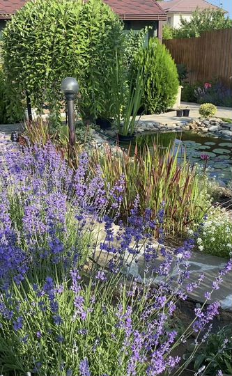 Комната 12 м² в 1-к., 1/2 эт.