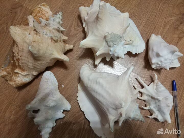 Камни для аквариума
