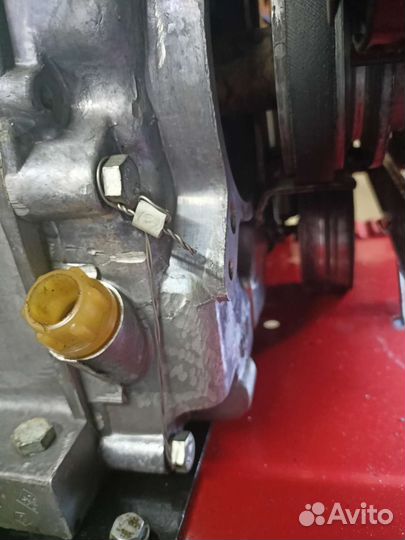 Мотоблок кадви